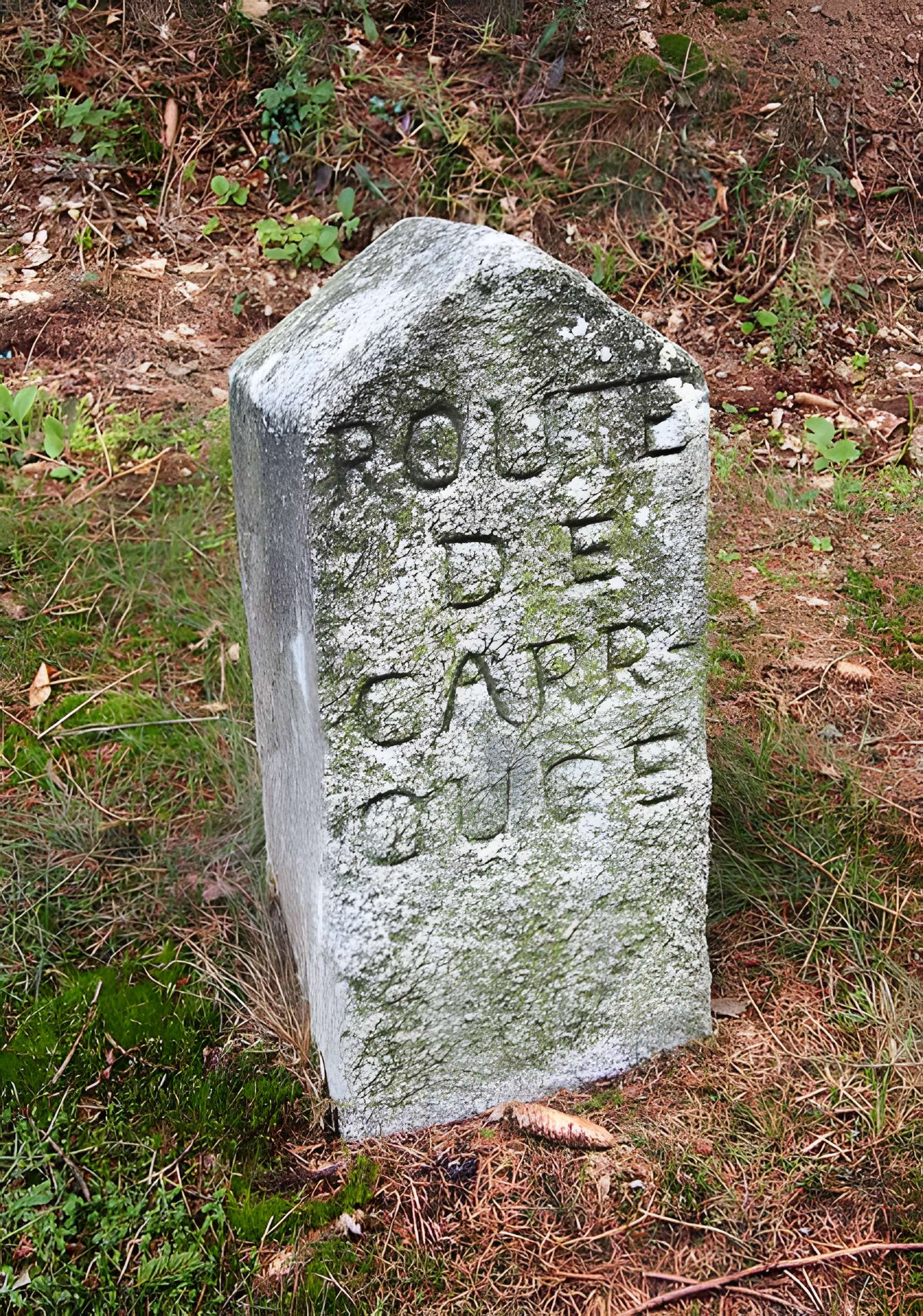 80 bornes de la forêt d'Ecouves (également sur communes de Le Bouillon, La Chapelle-près-Sées, La Ferrière-Béchet, Fontenai-les-Louvets, Radon, Rouperroux, Saint-Didier-sous-Ecouves, Saint-Gervais-du-Perron, Saint-Nicolas-des-Bois, Tanville et Vingt-Hanap