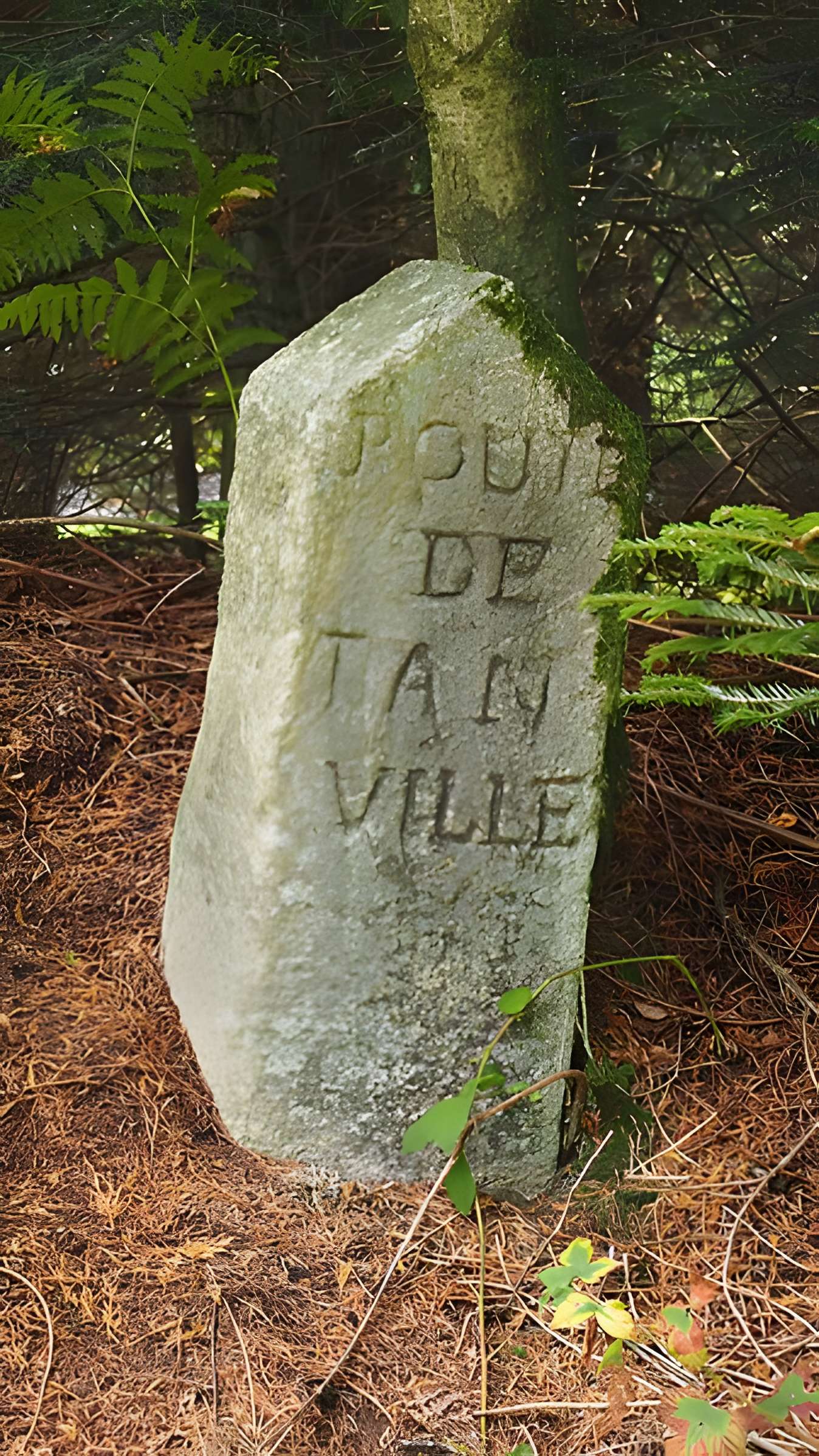 80 bornes de la forêt d'Ecouves (également sur communes de Le Bouillon, La Chapelle-près-Sées, La Ferrière-Béchet, Fontenai-les-Louvets, Radon, Rouperroux, Saint-Didier-sous-Ecouves, Saint-Gervais-du-Perron, Saint-Nicolas-des-Bois, Tanville et Vingt-Hanap