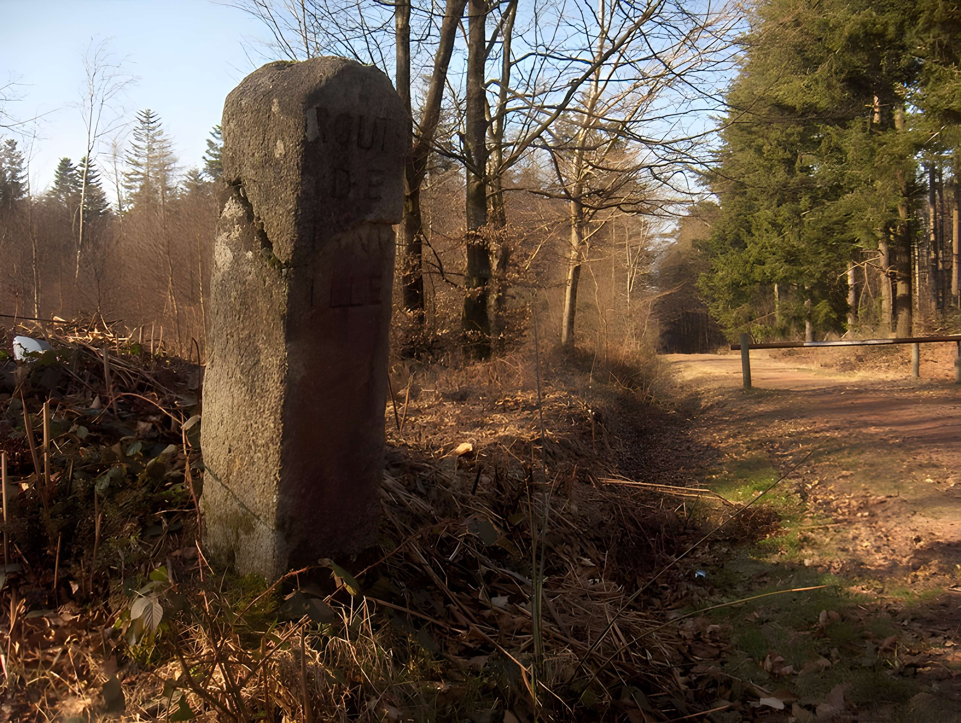 80 bornes de la forêt d'Ecouves (également sur communes de Le Bouillon, La Chapelle-près-Sées, La Ferrière-Béchet, Fontenai-les-Louvets, Radon, Rouperroux, Saint-Didier-sous-Ecouves, Saint-Gervais-du-Perron, Saint-Nicolas-des-Bois, Tanville et Vingt-Hanap