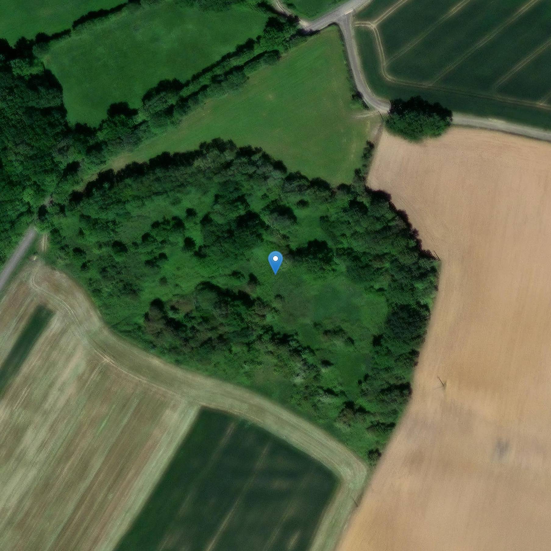 Photo de Castor Ensemble