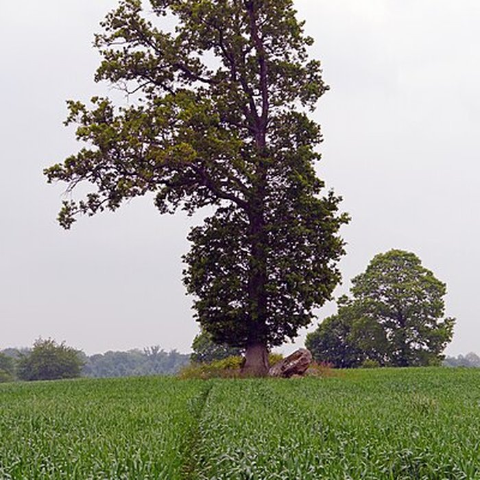 Photo de Ensemble mégalithique