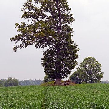 Ensemble mégalithique