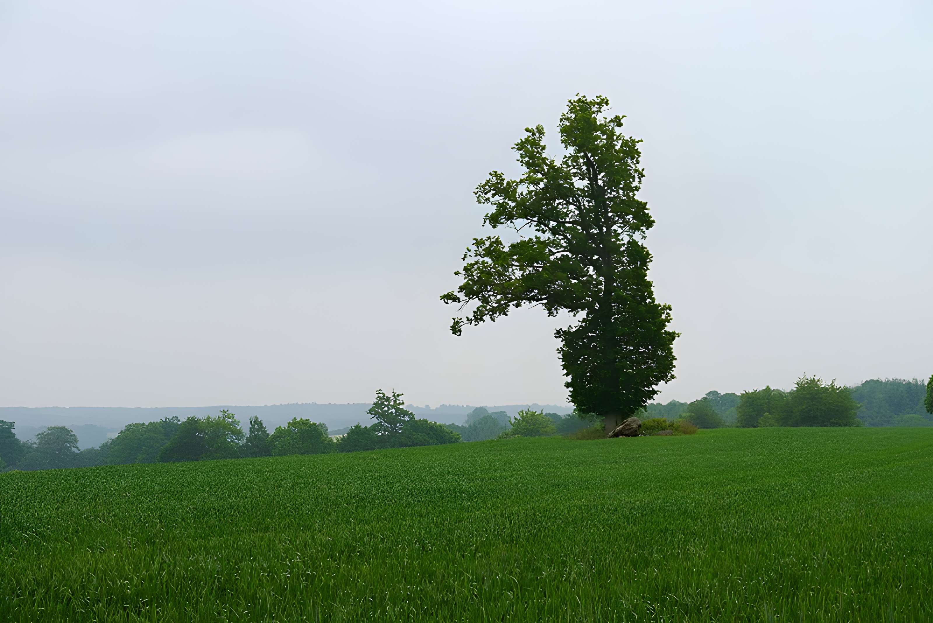 Ensemble mégalithique