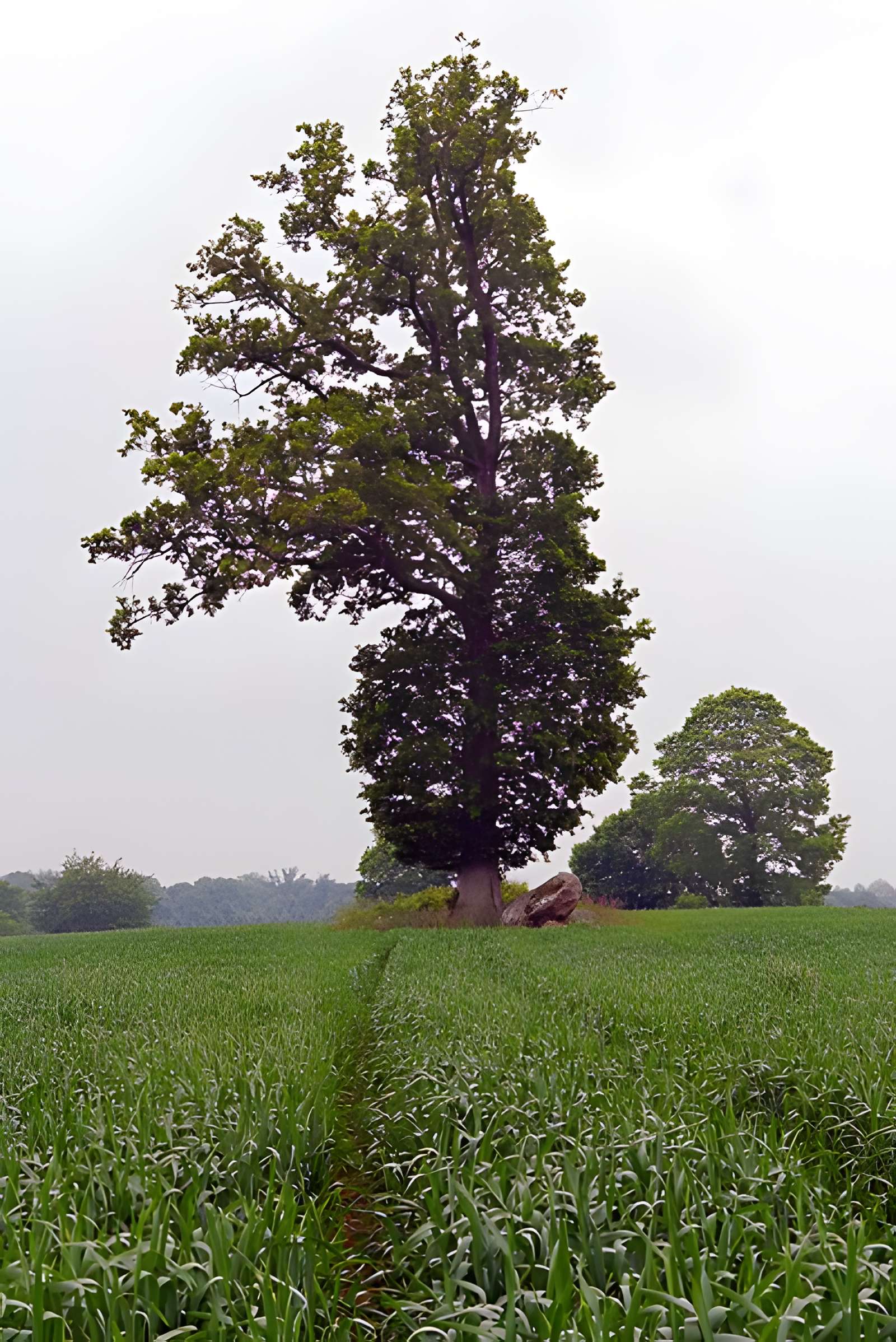 Ensemble mégalithique
