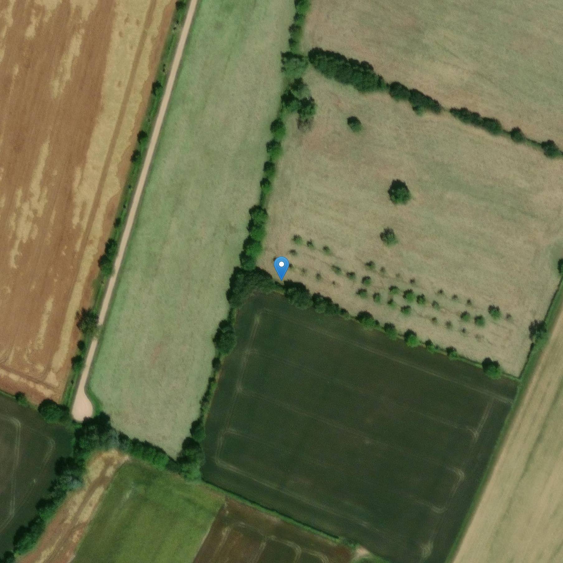 Photo de Menhir dice la pietra al Bordeu