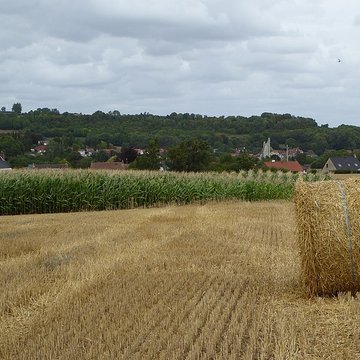 Ruines de léglise