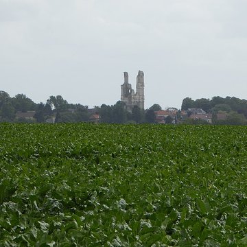 Ruines de léglise