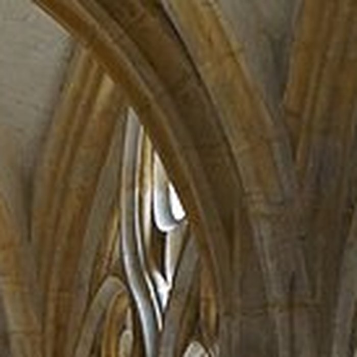 Photo de Abbatiale Saint Robert de La Chaise-Dieu