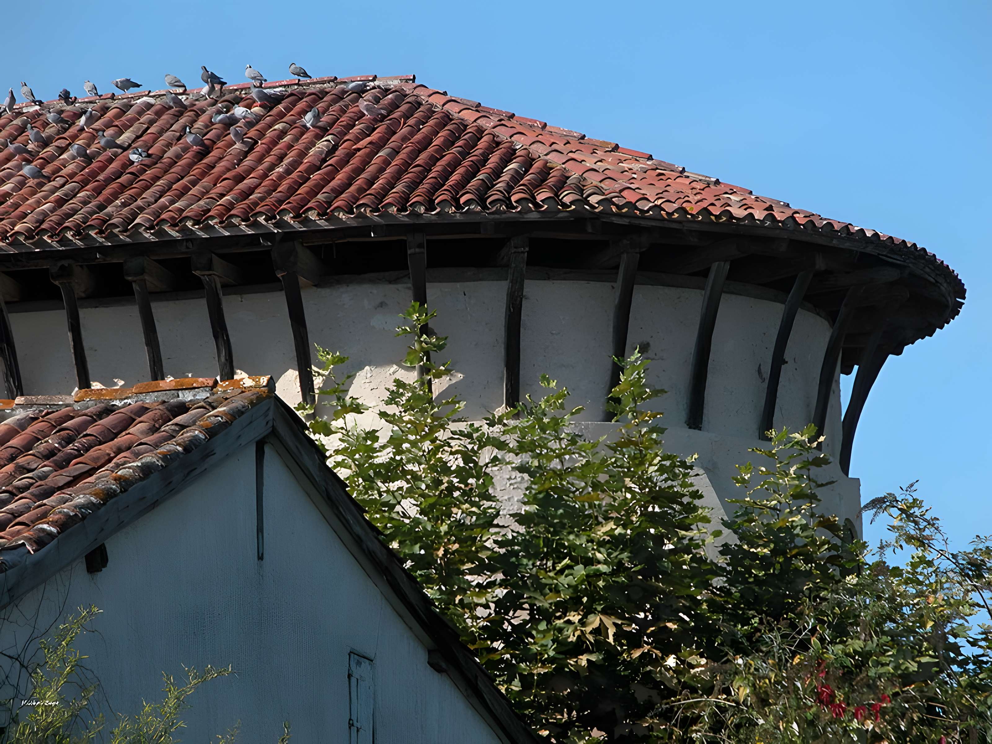 Église Saint-Sernin de Brassempouy