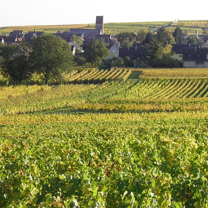 Photo de Église Saints-Pierre-et-Paul dEguisheim