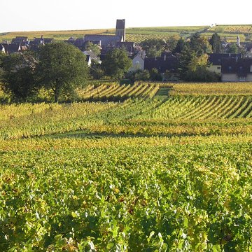 Église Saints-Pierre-et-Paul dEguisheim
