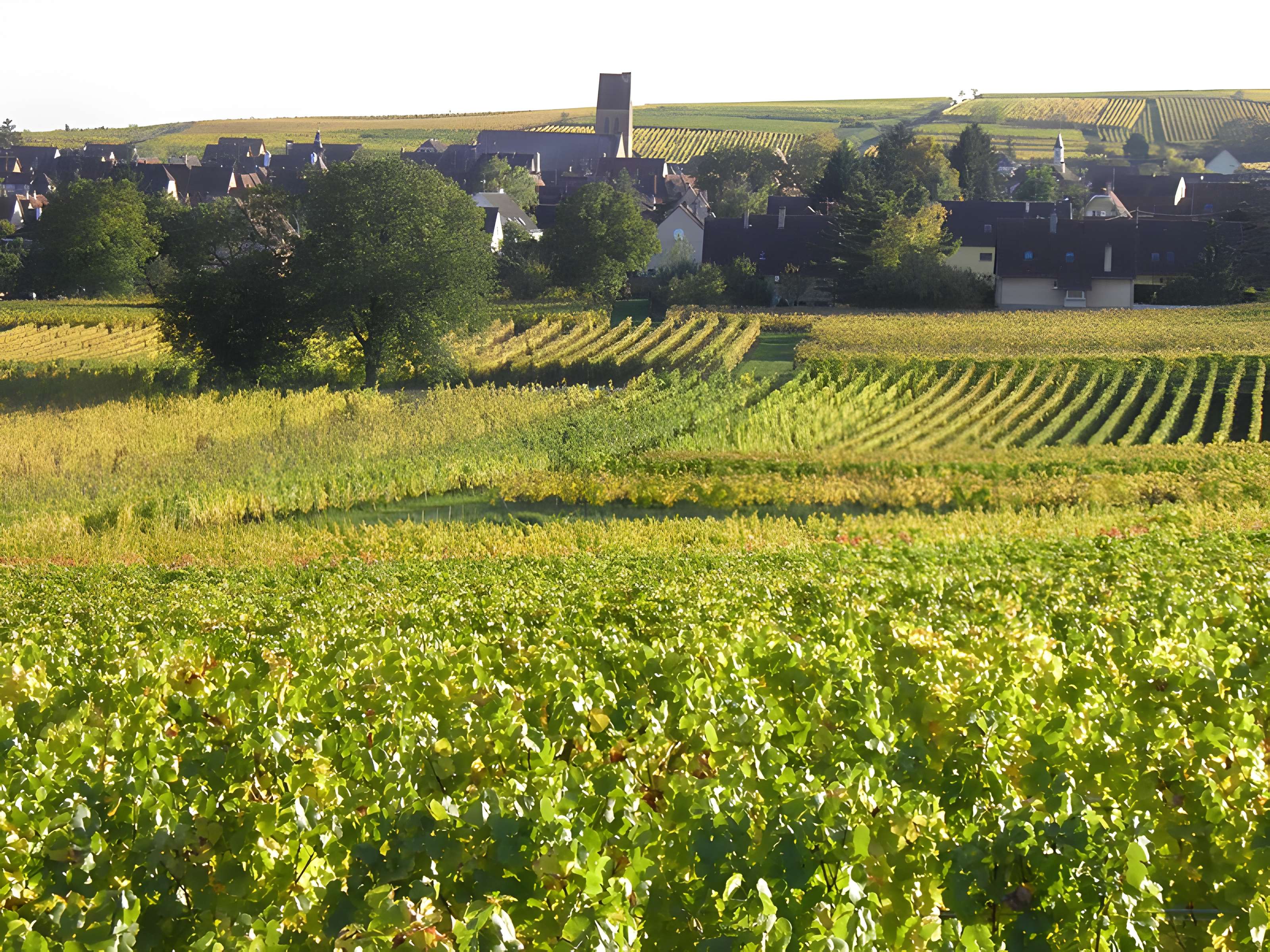 Église Saints-Pierre-et-Paul d'Eguisheim