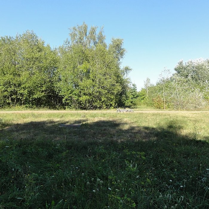 Photo de Fosse n 7 de la compagnie des mines de Vicoigne-Noeux-Drocourt et du groupe de Béthune des Houillères du Bassin du Nord et du Pas-de-Calais