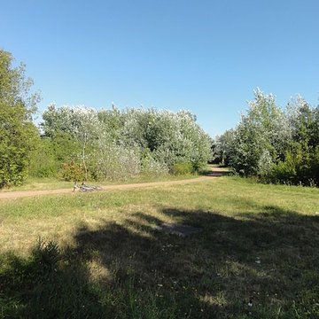 Fosse n 7 de la compagnie des mines de Vicoigne-Noeux-Drocourt et du groupe de Béthune des Houillères du Bassin du Nord et du Pas-de-Calais