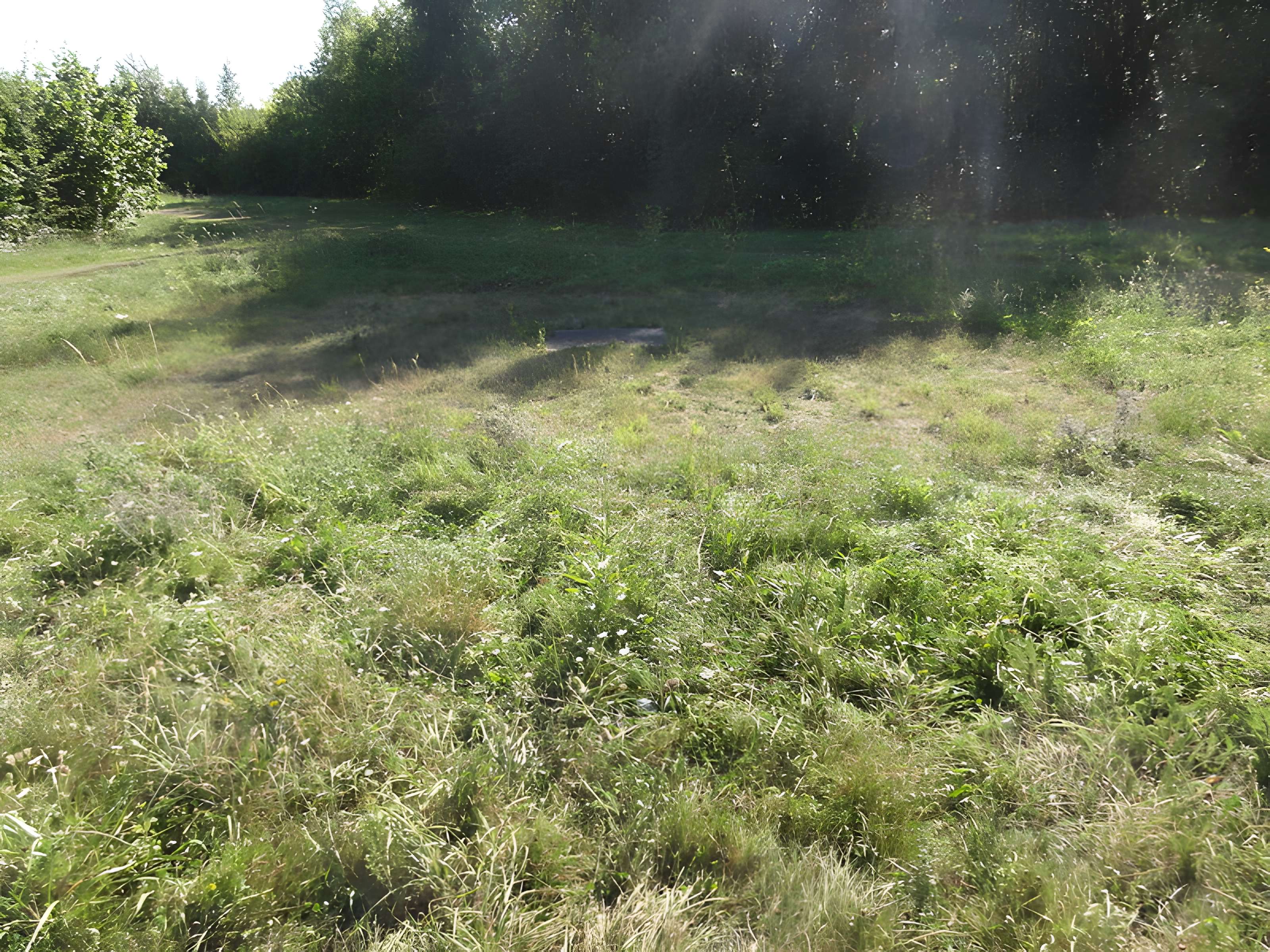 Fosse n° 7 de la compagnie des mines de Vicoigne-Noeux-Drocourt et du groupe de Béthune des Houillères du Bassin du Nord et du Pas-de-Calais