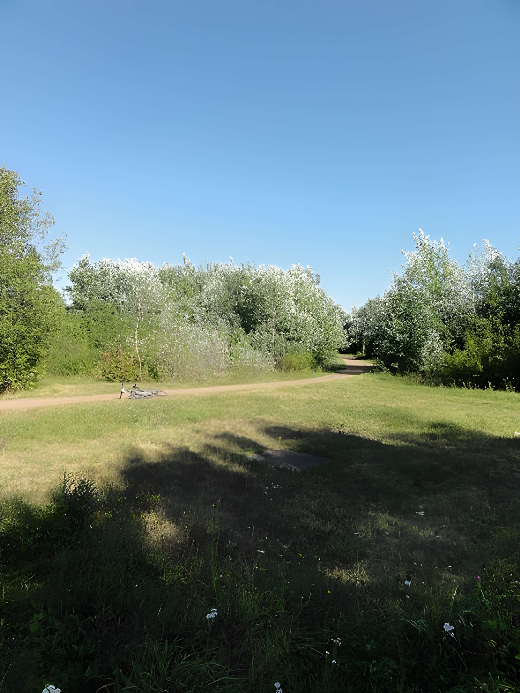 Fosse n° 7 de la compagnie des mines de Vicoigne-Noeux-Drocourt et du groupe de Béthune des Houillères du Bassin du Nord et du Pas-de-Calais
