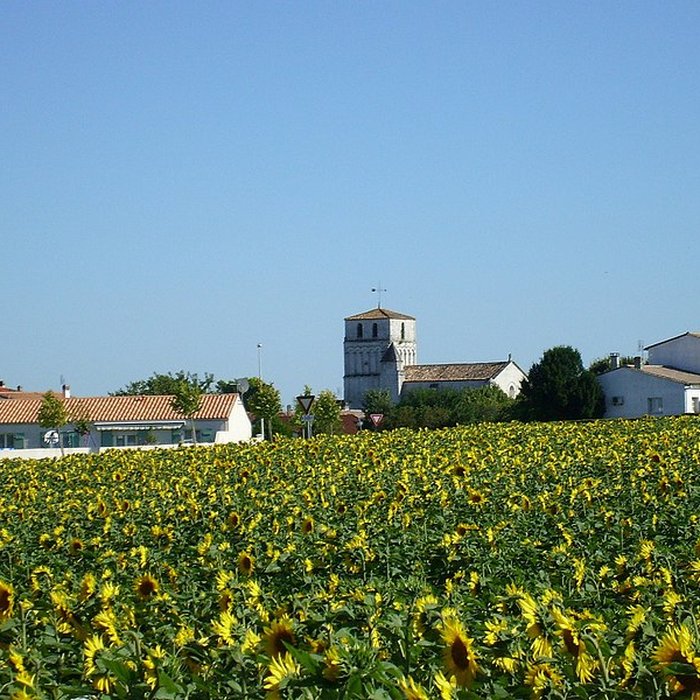 Photo de Église Saint-Sulpice de Saint-Sulpice-de-Royan