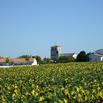 Église Saint-Sulpice de Saint-Sulpice-de-Royan