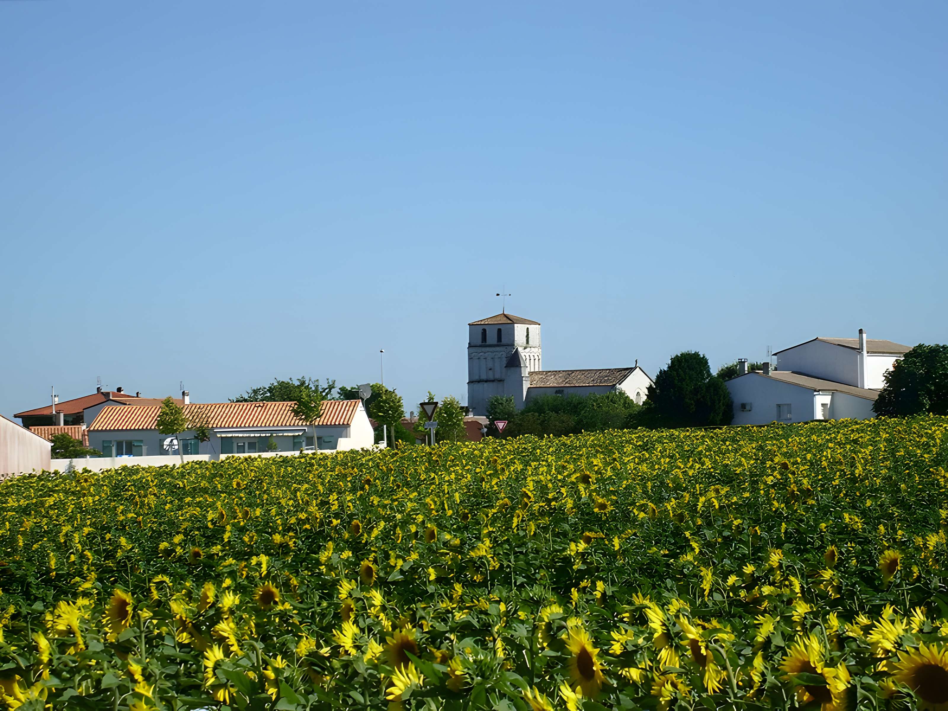 Église Saint-Sulpice de Saint-Sulpice-de-Royan