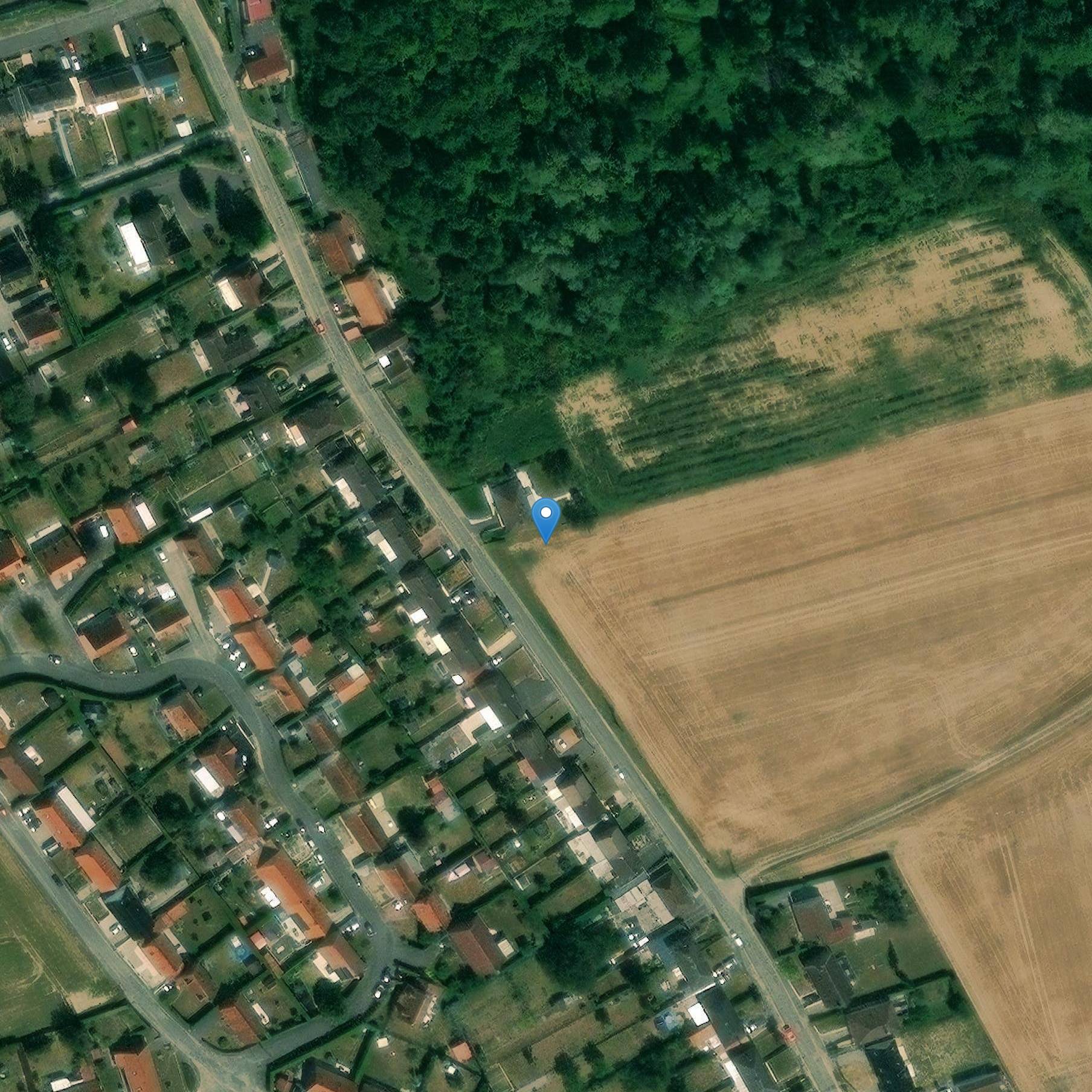 Photo de アッパー・ペレオリティック・ジャイゼーション