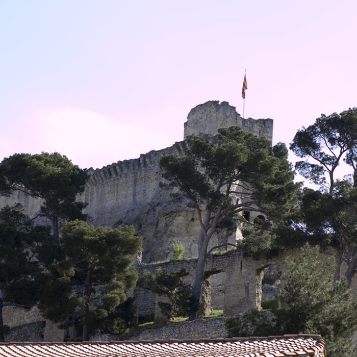 Photo de Château de Boulbon