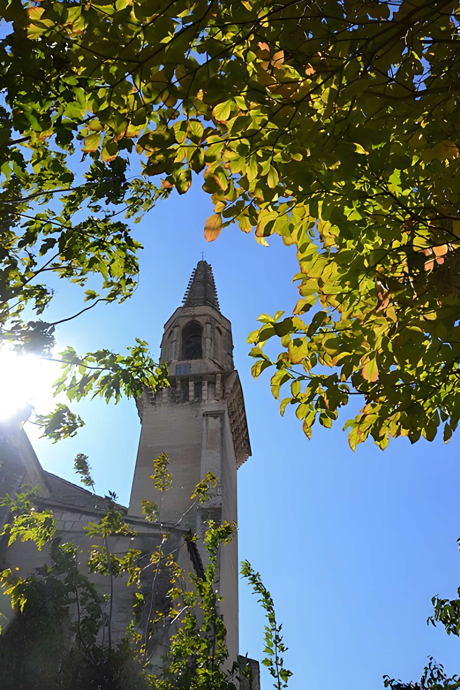 Église Saint-Symphorien-les-Carmes d'Avignon