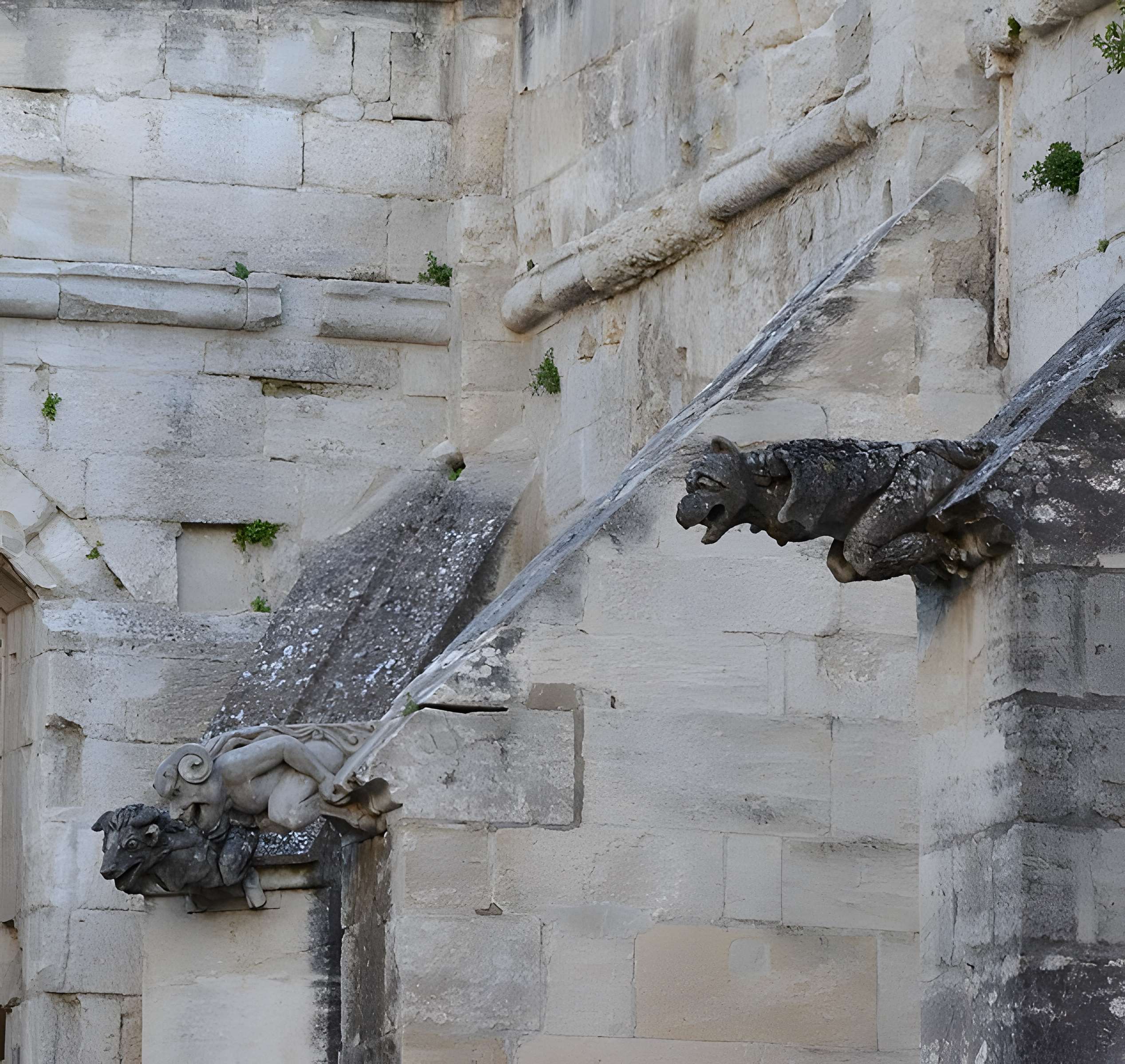 Église Saint-Symphorien-les-Carmes d'Avignon