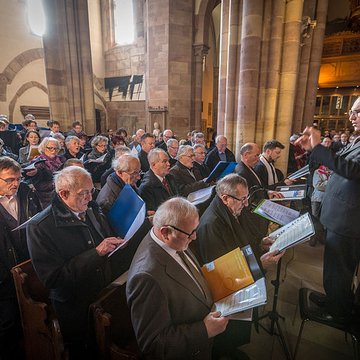 Église Saint-Thomas de Strasbourg