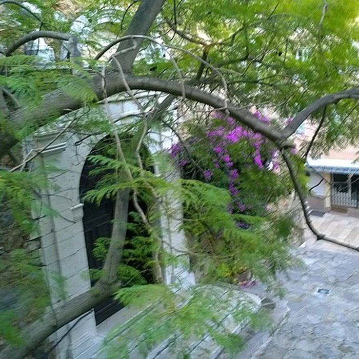 Photo de Église Saint-Trophyme de Bormes-les-Mimosas