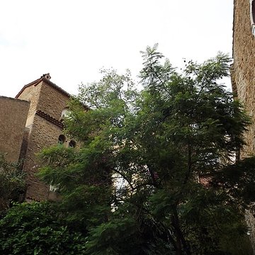 Église Saint-Trophyme de Bormes-les-Mimosas