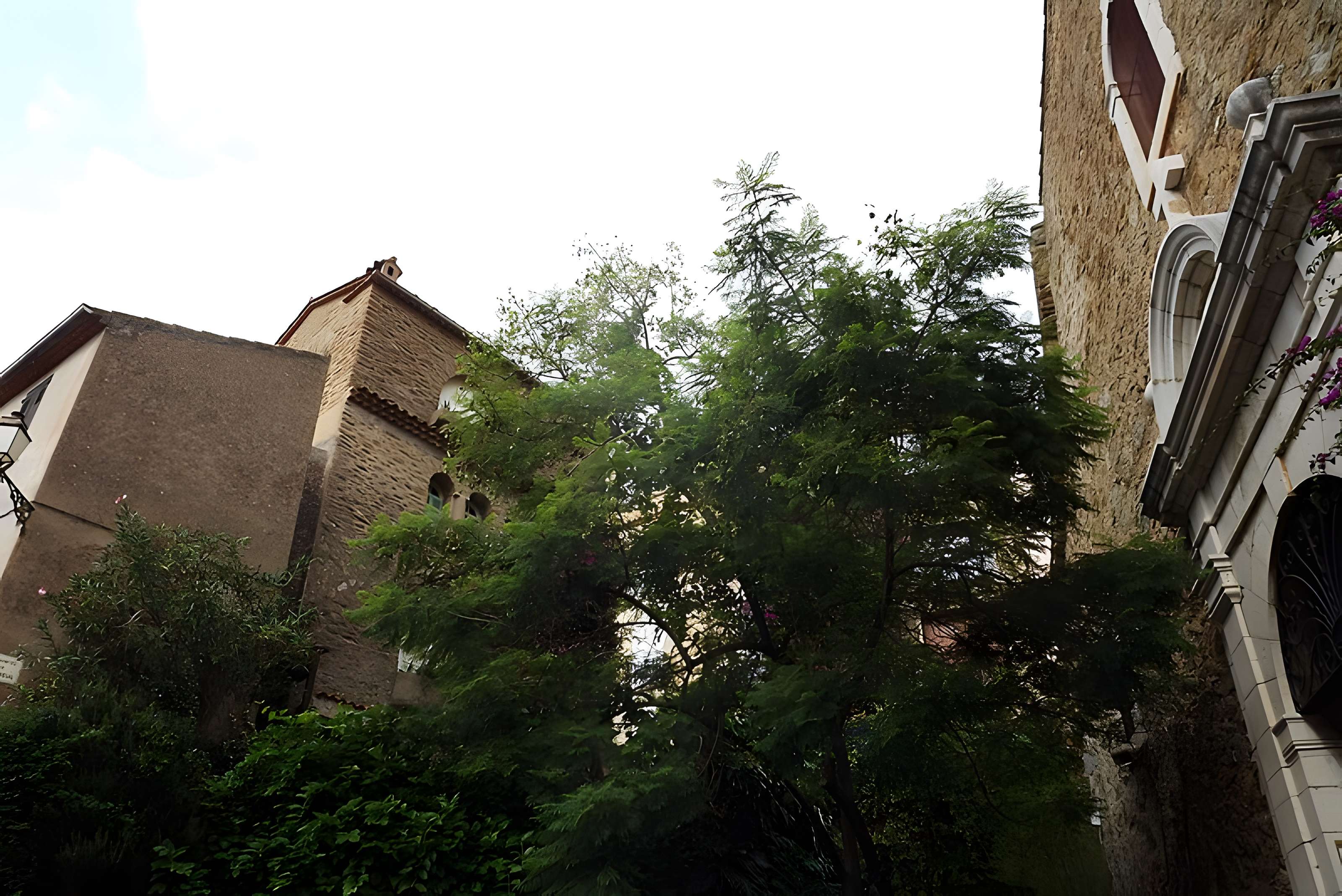 Église Saint-Trophyme de Bormes-les-Mimosas