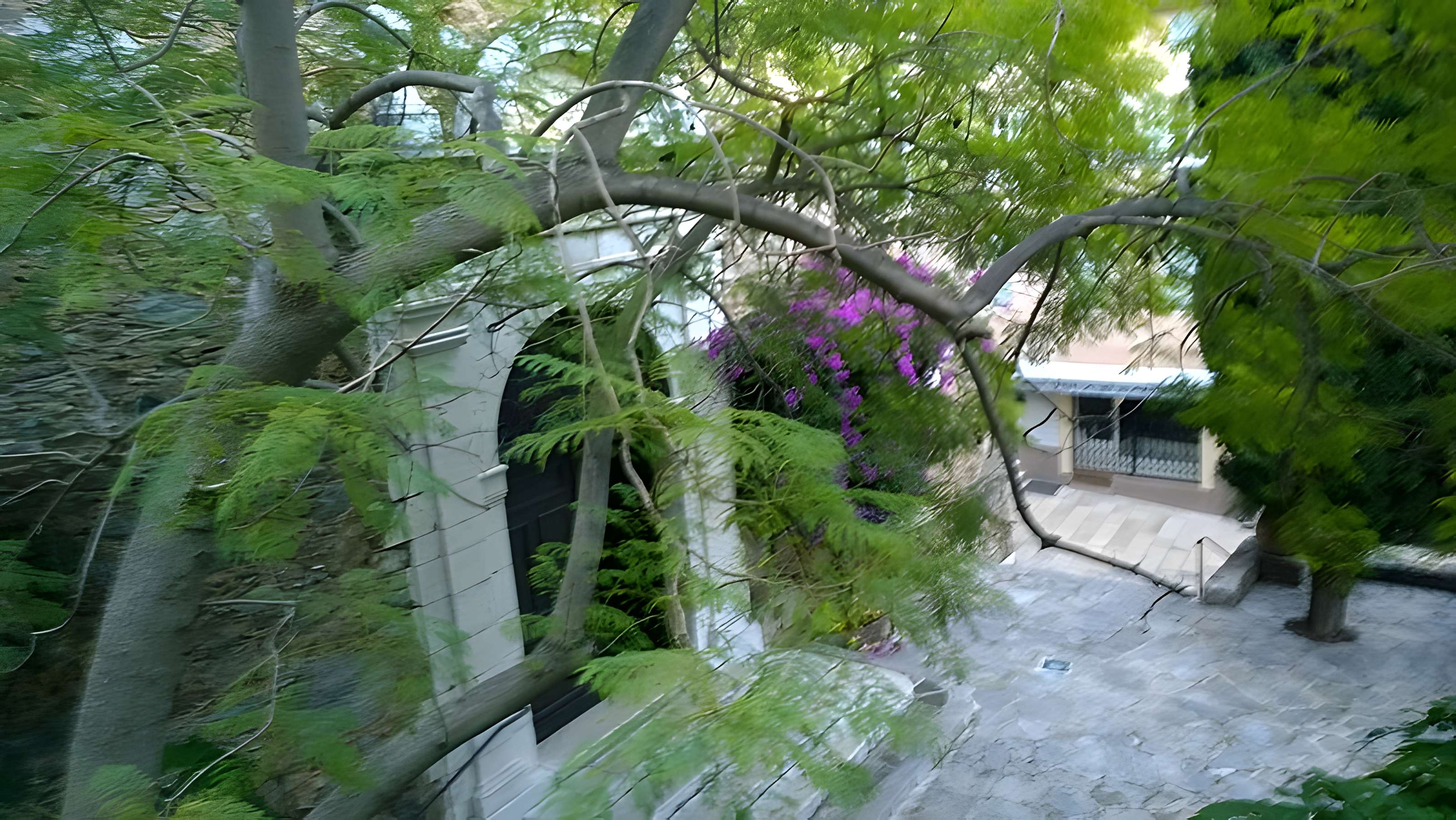 Église Saint-Trophyme de Bormes-les-Mimosas