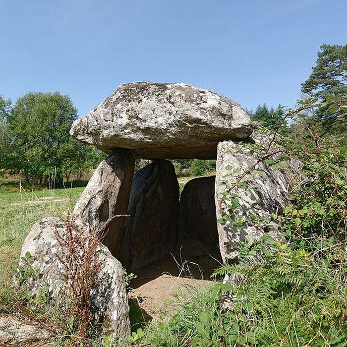 Photo de Dolmen dit La Pierre Couverte