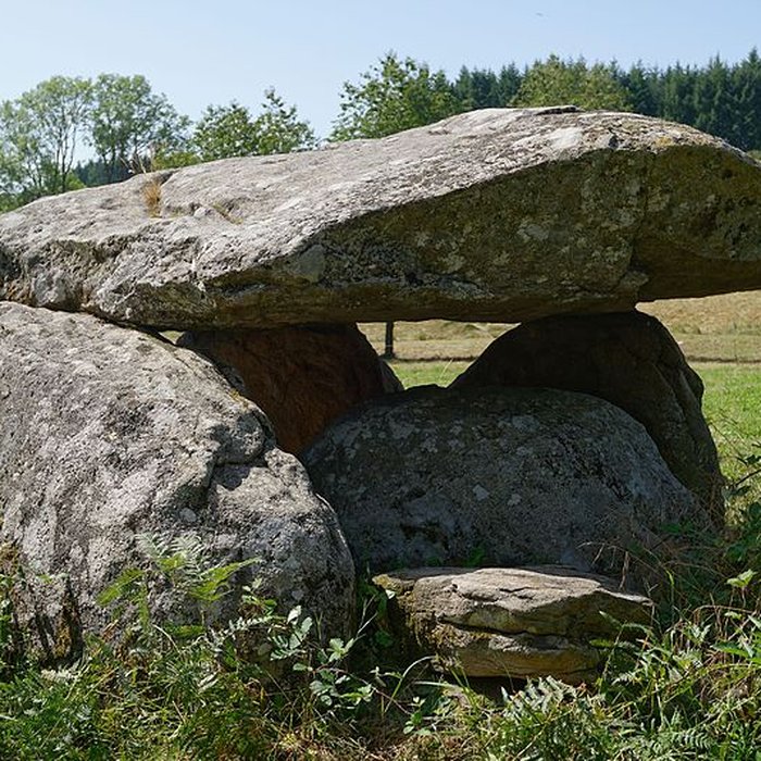 Photo de Dolmen dit La Pierre Couverte