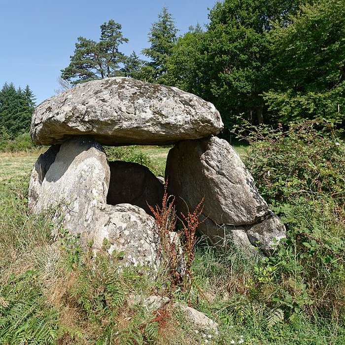 Photo de Dolmen dit La Pierre Couverte