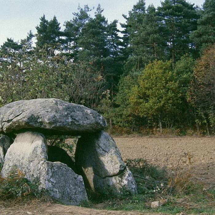 Photo de Dolmen dit La Pierre Couverte