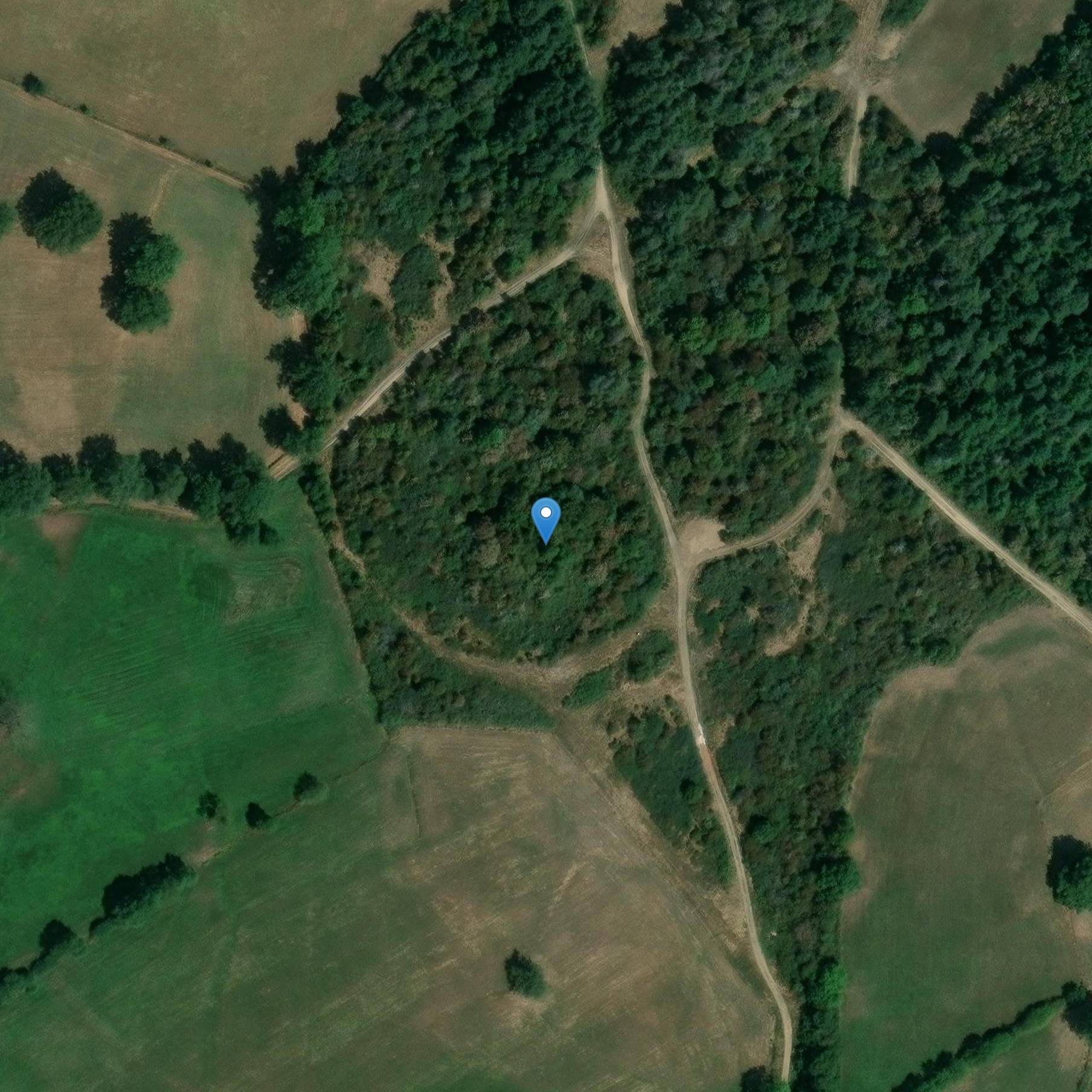 Photo de Feudal Motte