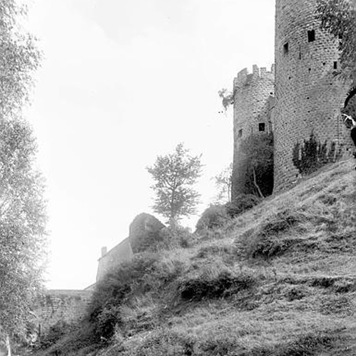 Photo de Château de Bourbon-lArchambault