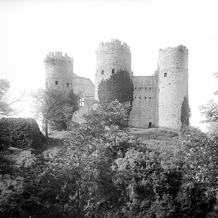 Photo de Château de Bourbon-lArchambault