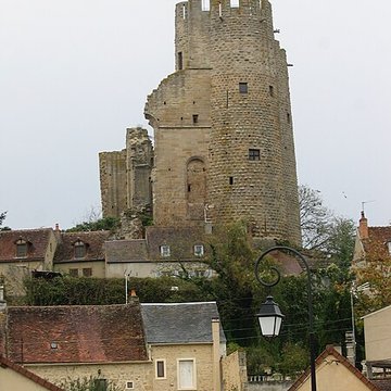 Château de Bourbon-lArchambault