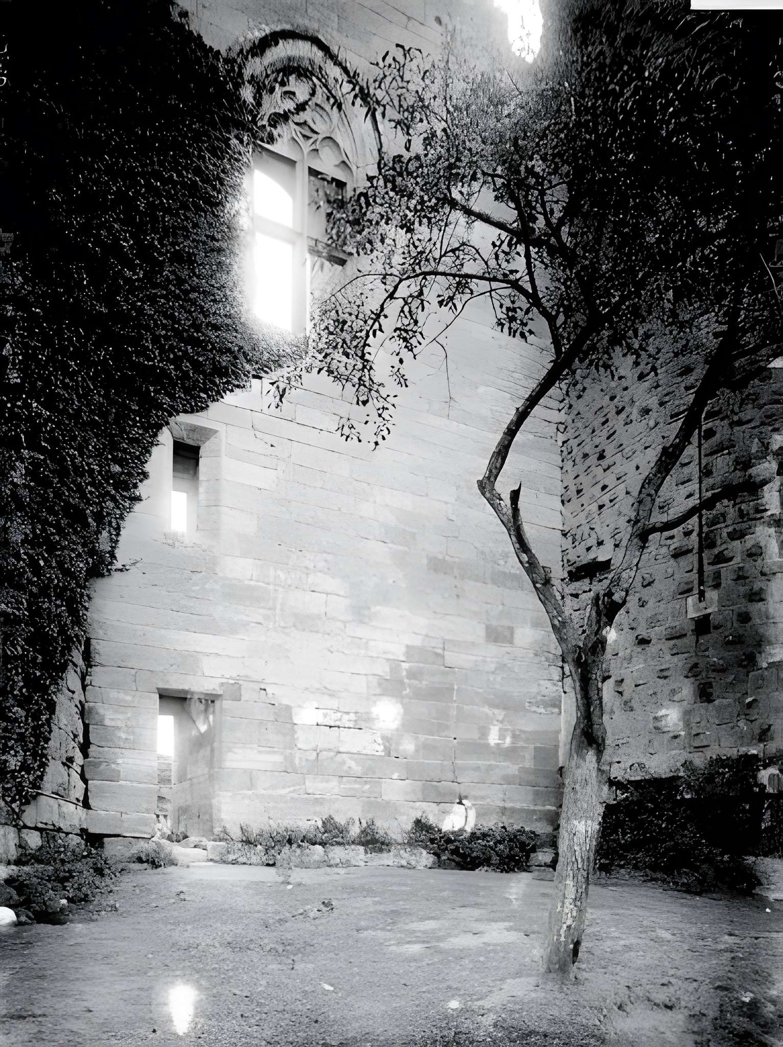 Château de Bourbon-l'Archambault