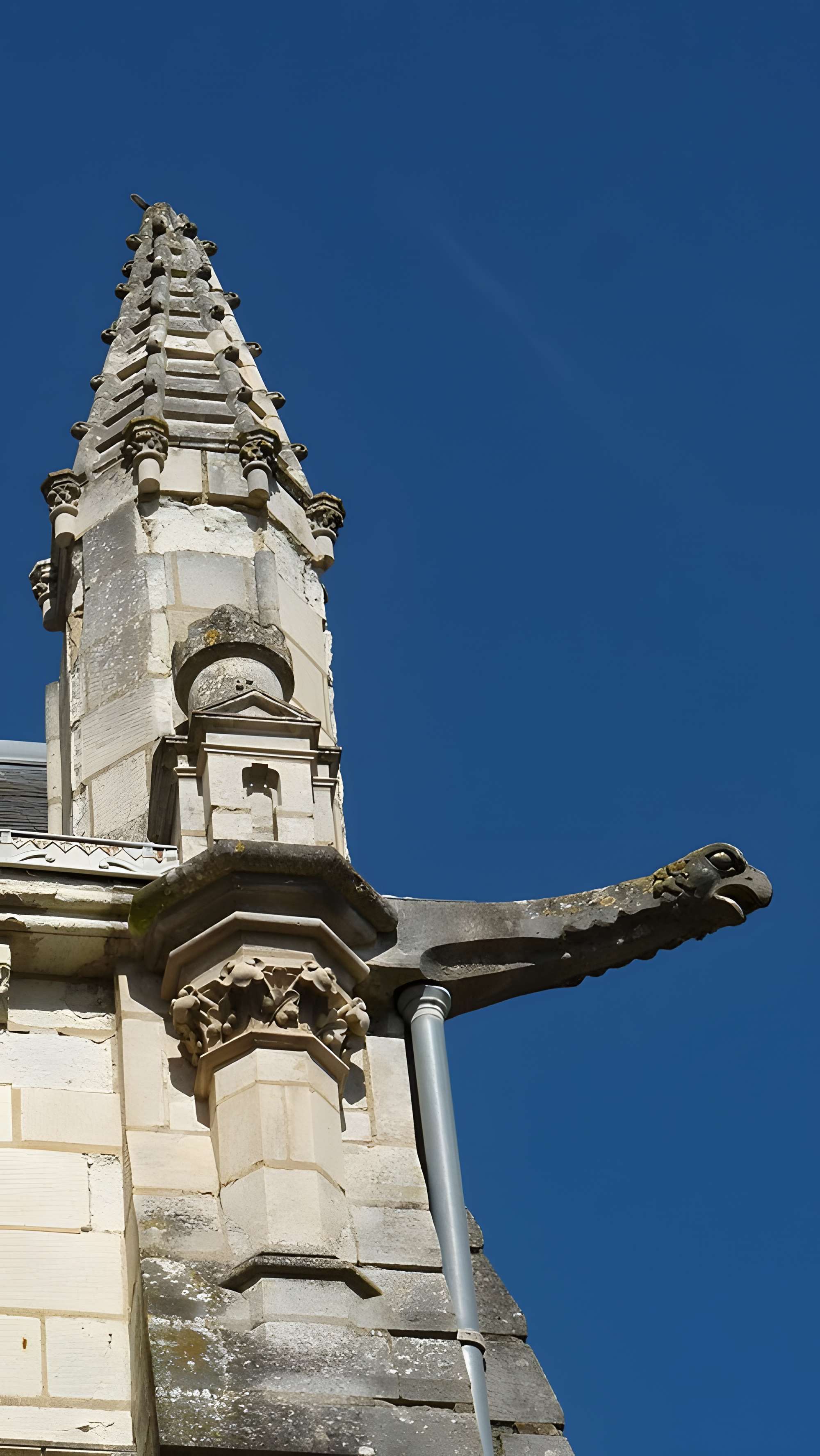 Église Saint-Vincent de Brézé