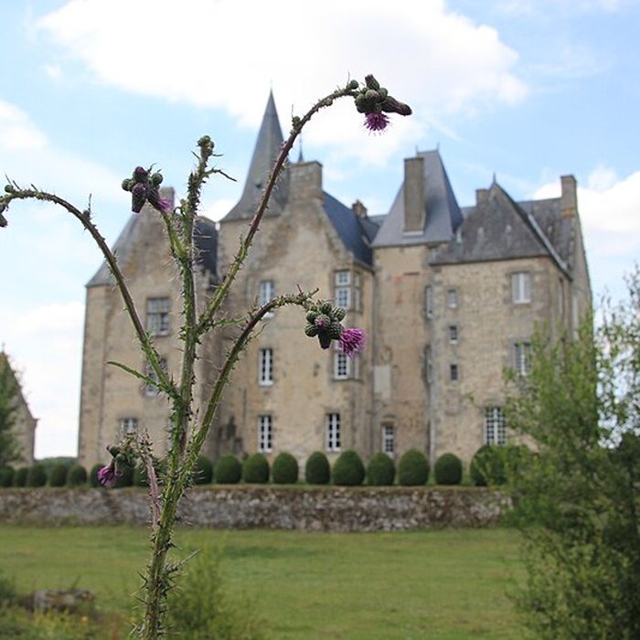 Photo de Château de Bourgon à Montourtier