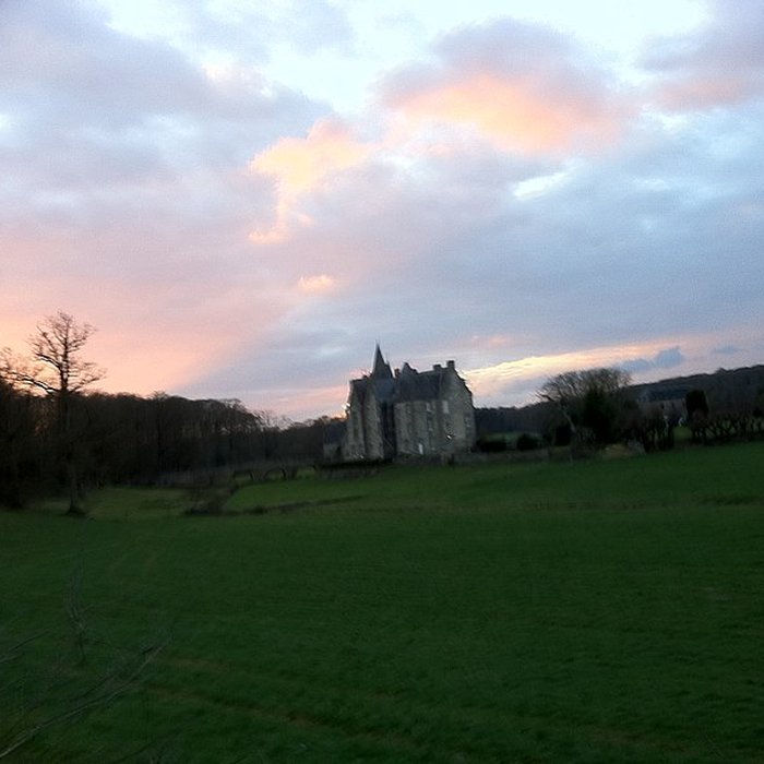 Photo de Château de Bourgon à Montourtier