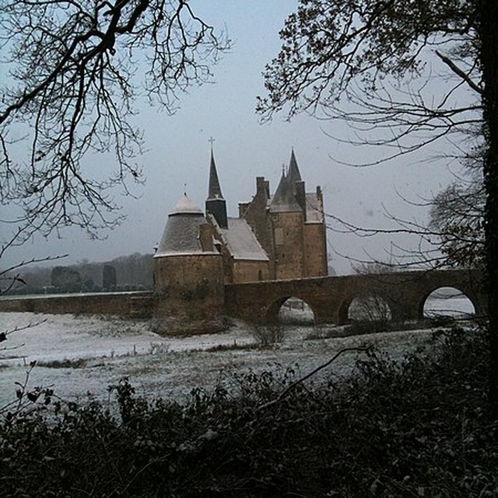 Photo de Château de Bourgon à Montourtier