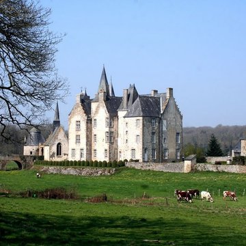 Château de Bourgon à Montourtier