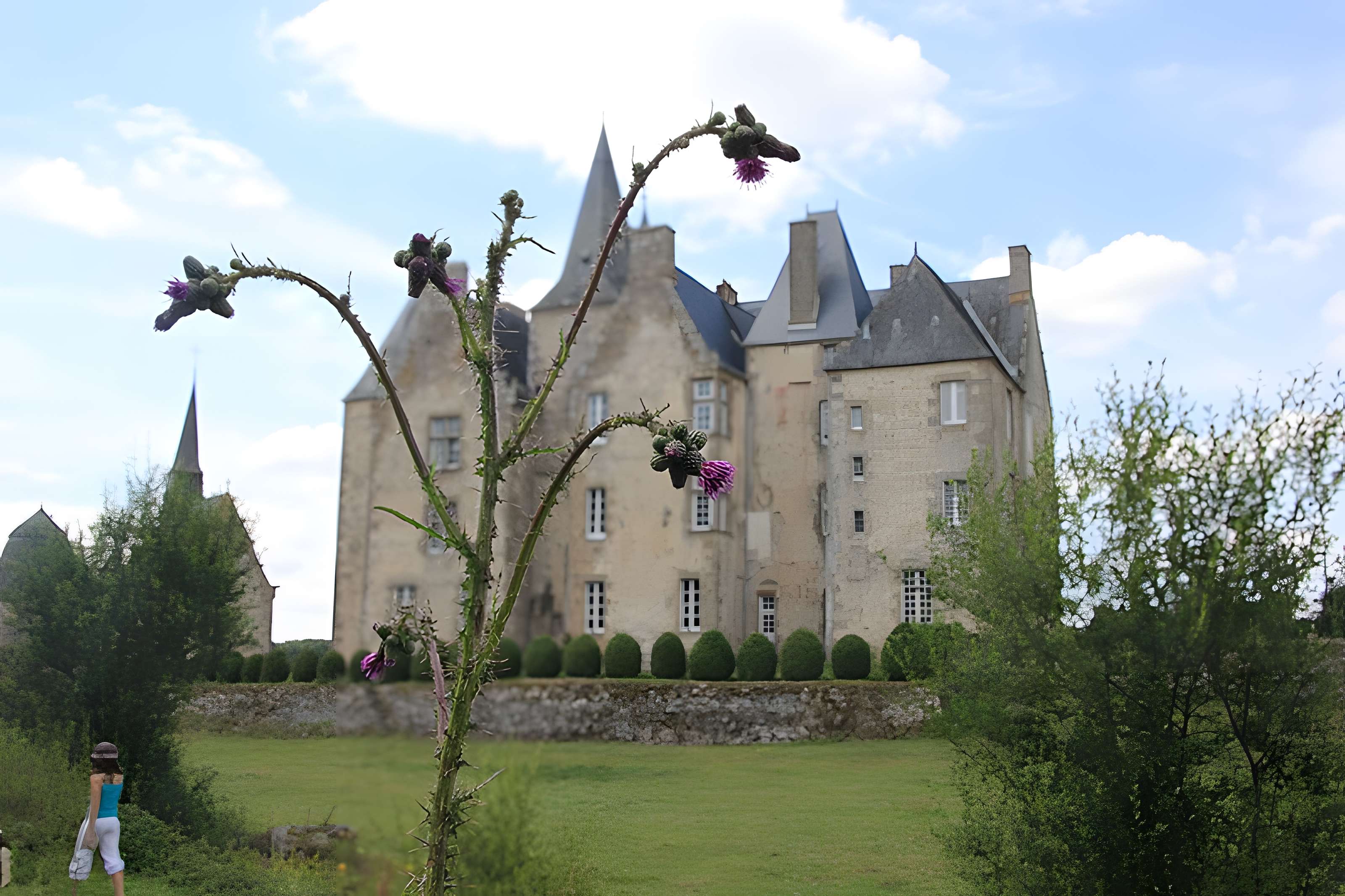 Château de Bourgon à Montourtier