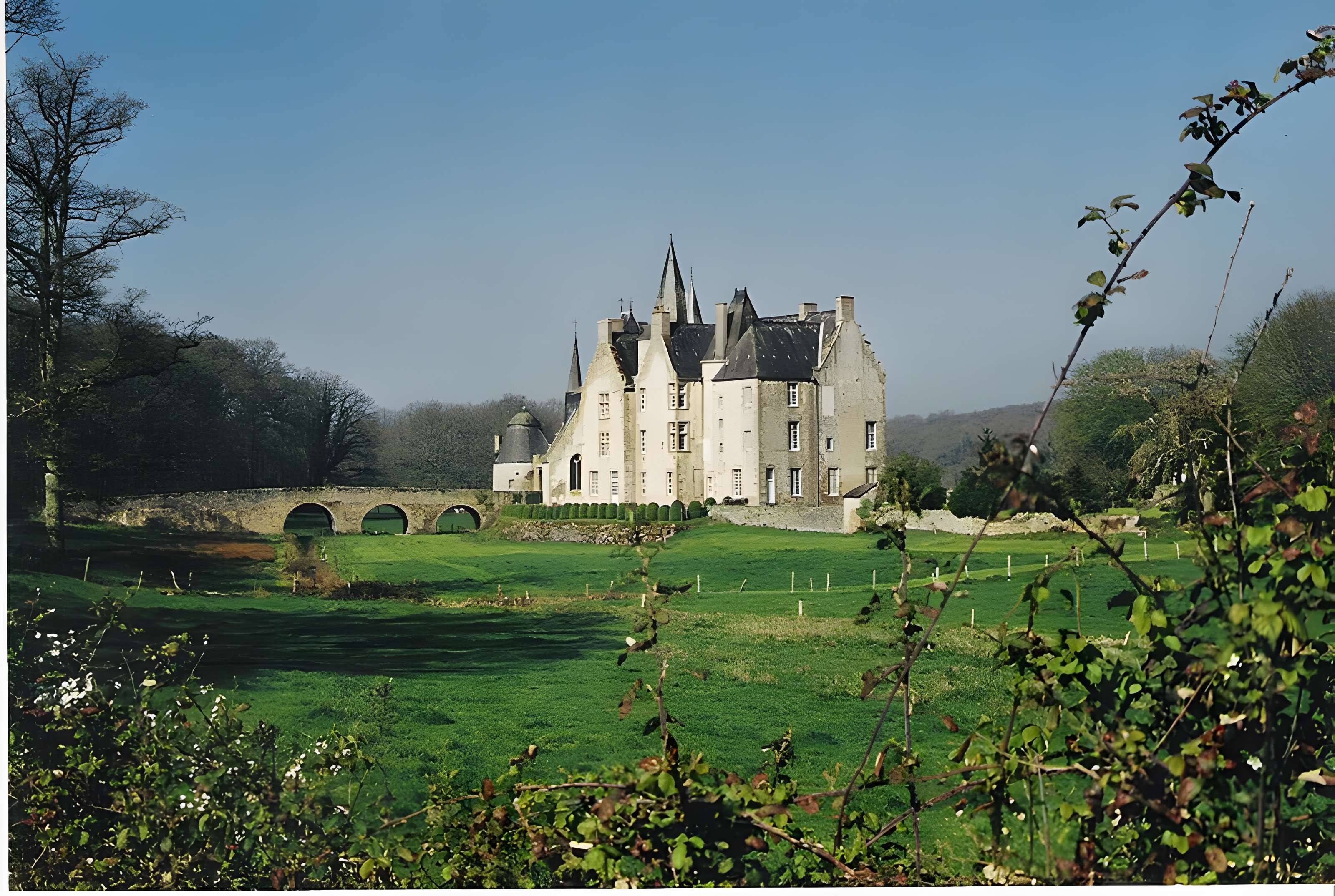 Château de Bourgon à Montourtier