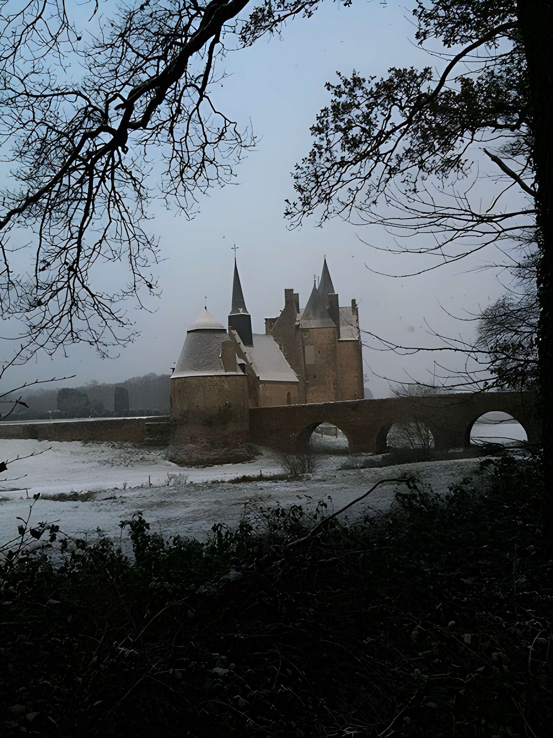 Château de Bourgon à Montourtier
