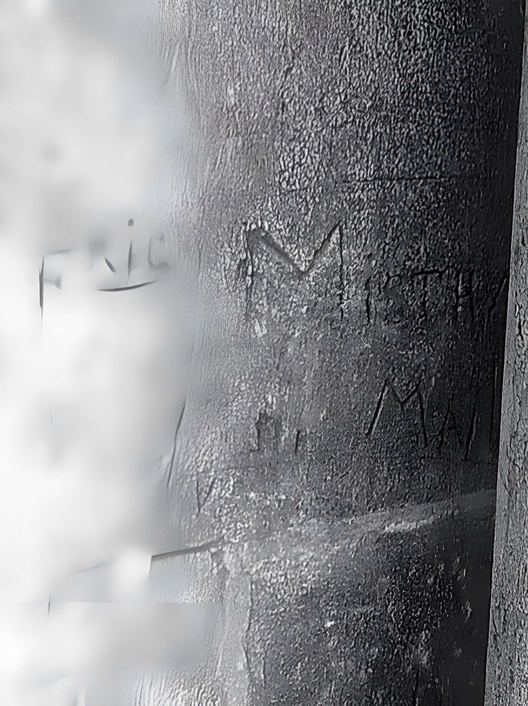 Église Saint-Vincent des Baux